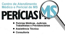 Sistema de Per&iacute;cias